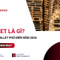 Tổng quan Pallet: Đặc điểm và các dòng phổ biến