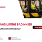 Lái xe nâng lương bao nhiêu? Học lái có khó không?