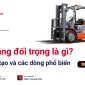 Tổng quan về xe nâng đối trọng: Đặc điểm và các dòng phổ biến